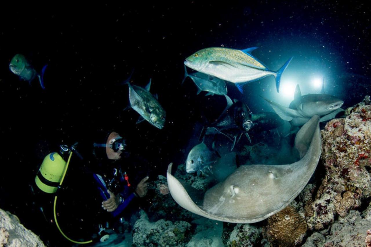 Hotel Roatan Yacht Club&Dive Center French Harbour Exterior foto